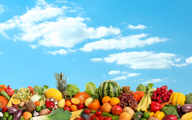 Assortment of fresh organic fruits and vegetables outdoors