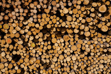huge stack of raw logs at an industrial logging operation