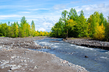 River in the Volcanic Forest. Russia, Kamchatka 2020. Photo taken during an expedition to the volcano.