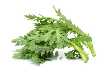 Escarole Endive on a white background