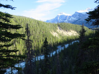 the Sarbach Lookout at the Mistaya Canyon, Banff National Park, Icefields Parkway, Rocky Mountains, Alberta, Canada, June