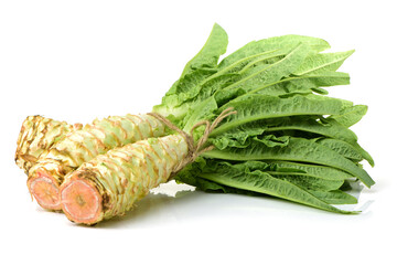 Asparagus lettuce on white background