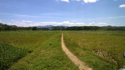 blue sky over the countryside 