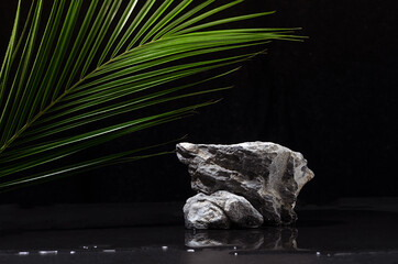 Luxury natural stone podium with green palm leaf and water as shore in jungle at night for showing...