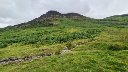 Fototapeta premium landscape of the mountains