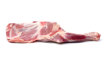 Raw lamb leg on white background