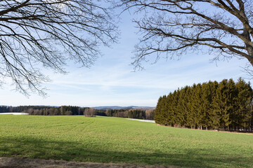 Fototapeta premium Im Jagdrevier