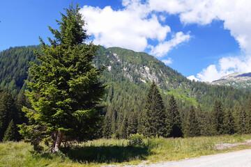 Bellissimo panorama dal sentiero che porta al rifugio e al lago Nambino in Trentino, viaggi e...