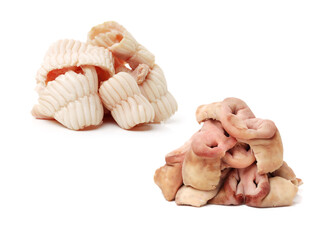 pig palate and Pigs Snouts on white background