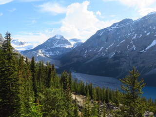 the Bow Summit, Peyto Lake, Banff National Park, Icefields Parkway, Rocky Mountains, Alberta, Canada, June