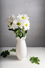 fresh flowers, white chrysanthemums. the concept of a postcard. bunch of cut natural flowers, close-up. copyspace