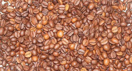 Coffee bean background close-up. Texture of coffee beans