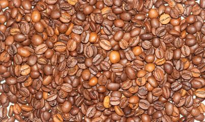Coffee bean background close-up. Texture of coffee beans