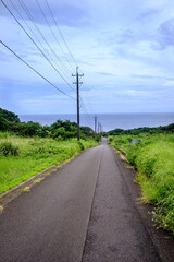 Fototapeta na wymiar 屋久島の道と海