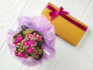 Top view to the bouquet of kalanchoe blossfeldiana with golden gift box and pink ribbon on the light gray floor.