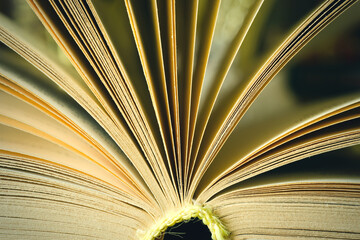 book macro
