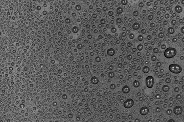 Water drops on black background texture. Dark backdrop glass covered with drops of water. gray bubbles in water