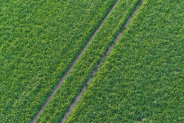 Aerial view of a road in the green field