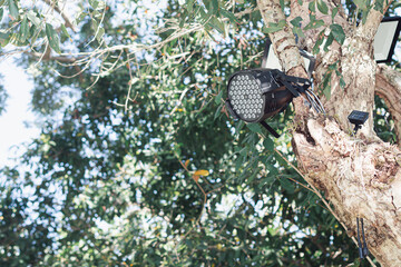 The LED spotlight is installed on the trees to illuminate the night. Concept of decorative lighting