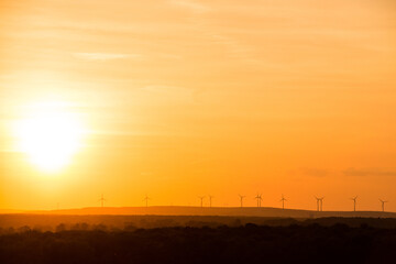 Eco power. Wind turbines with sun background