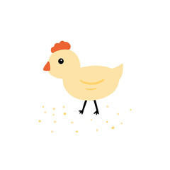 Little chicken pecks grain cute cartoon style vector illusration.
