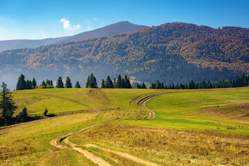 mountainous countryside in autumn. rural road through grassy pastures on hills rolling in to the distance. forest in colorful foliage. bright sunny day with bright blue sky