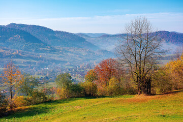 mountainous rural landscape in autumn. trees the edge of a hill in colorful foliage. sunny day with bright blue sky