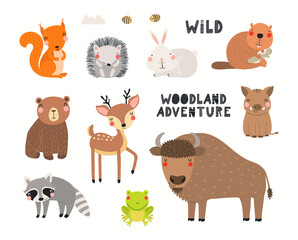 Fototapeta premium Cute wild animals clipart collection, isolated on white. Hand drawn vector illustration. Woodland elements set. Scandinavian style flat design. Concept for kids fashion, textile print, poster, card