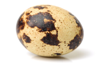 quail eggs on white background