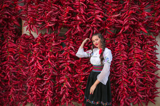 Young woman dressed on traditional Serbian Balkan clothing, national folk costume.Posing near of lot red paprika peppers