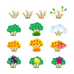 Set of vector cartoon cliparts of autumn, winter, summer and spring bushes isolated on white. Creative plants with bare stems, green and yellow leaves, snowy branches, flowering and with fruits