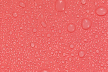 Water drops on red background texture. backdrop glass covered with drops of water.  bubbles in water