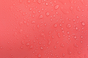 Plakat Water drops on red background texture. backdrop glass covered with drops of water. bubbles in water