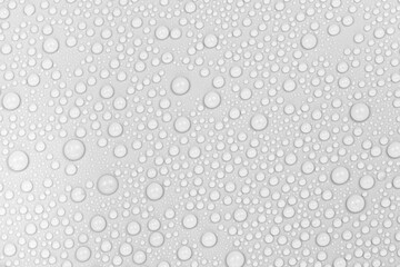 Water drops on white background texture. backdrop glass covered with drops of water.  bubbles in water