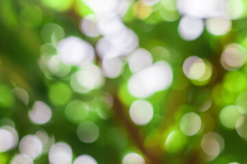 Green bokeh background, abstract image, used for editing, making advertising posters.