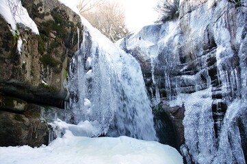 Fototapeta na wymiar Forest landscape in winter with frozen water