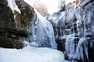 Fototapeta na wymiar Forest landscape in winter with frozen water