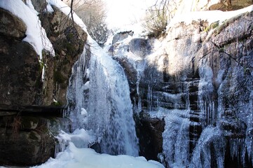 Forest landscape in winter with frozen water