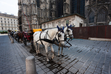 Fototapeta na wymiar Queue of Beautiful Horse Drawn Carriages in Vienna, Stephansplatz (St. Stephen's Cathedral), Waiting for Tourists