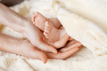 Newborn baby legs  in mother’s nd father's palm. Happy parents  holding theyr baby feet close up.  Maternity, family, birth concept.