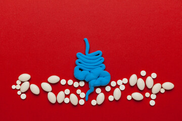 Human intestine model with tablets. Treatment of flatulence.