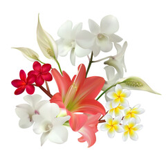 Flowers. Floral background. White orchids. Lilies. Pink. Plumeria. Tropical. Beautiful vector illustration. Bouquet.