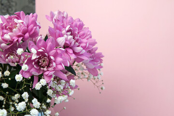 bouquet of pink chrysanthemums and gypsophila on a pink background