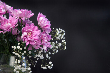 bouquet of pink chrysanthemums and gypsophila on a black background close-up