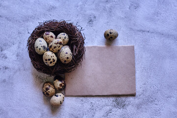 Small raw quail eggs in a nest on a gray surface. top view, free space. space for text on vintage paper. happy easter