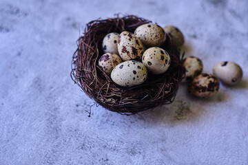 Obraz premium Small raw quail eggs in a nest on a gray surface. top view, free space. happy easter