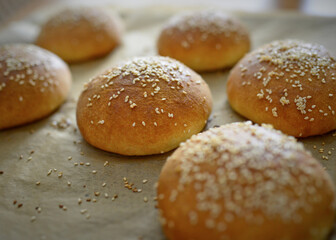 Hamburger Buns auf Backblech