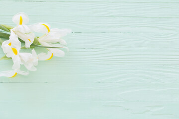 white irises on green wooden background