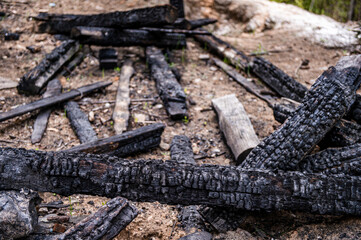 Fototapeta na wymiar Burnt branches at a picnic fireplace in the forest