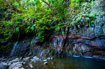 25 Fontes Waterfall - Hiking Levada trail in Laurel forest at Rabacal - Path to the famous Twenty-Five Fountains in beautiful landscape scenery - Madeira Island, Portugal